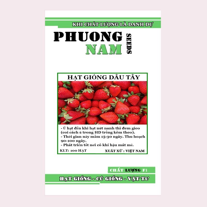 Hạt giống dâu tây đỏ gói 100 hạt