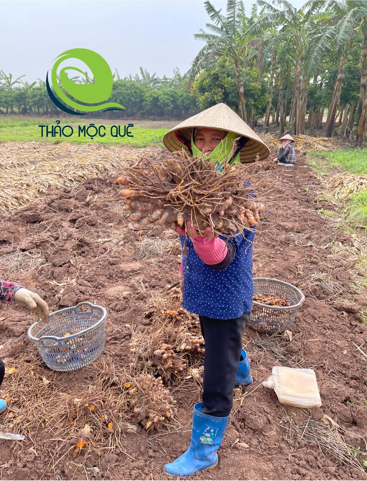 CỐT GỪNG NGHỆ GẤC HẠ THỔ BODY 1 LÍT