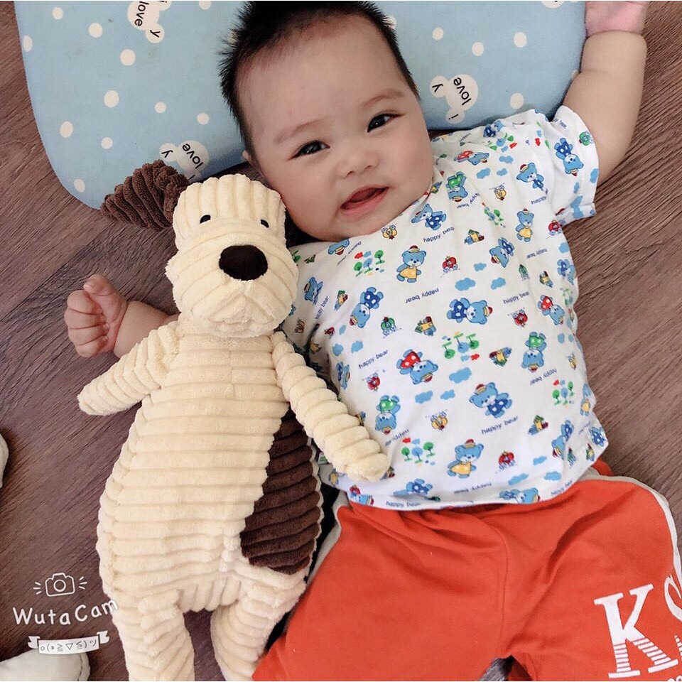 Cừu, Cún bông ngộ nghĩnh cho bé