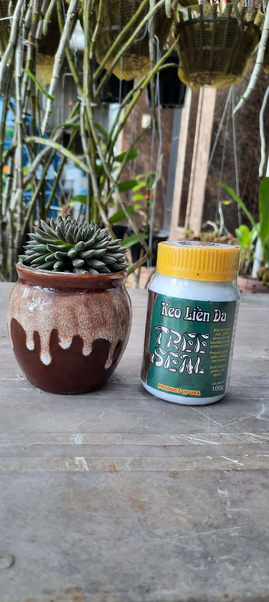 Keo liền da Tree Seal