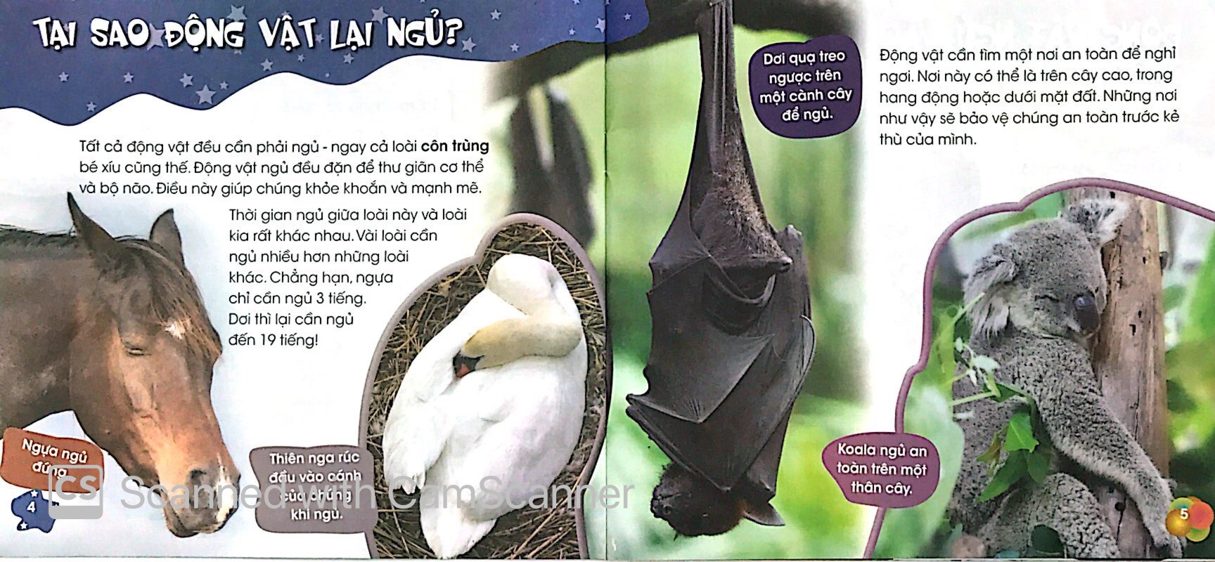 Độc Lạ Phi Thường - Giấc Ngủ Muôn Hình