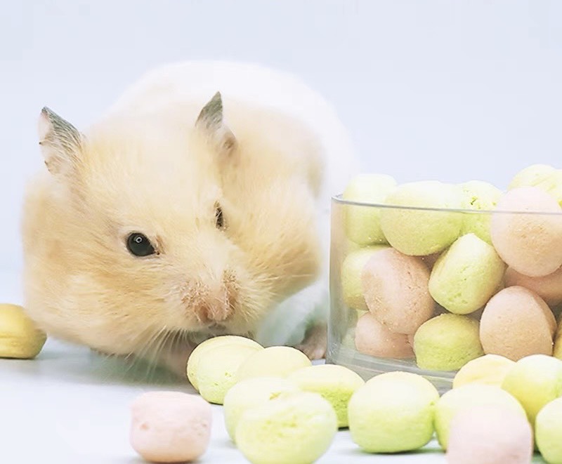 bánh sữa Macaron mini dành cho thú nuôi ( chó mèo thỏ bọ hamster sóc,...) - T3 PETS SHOP