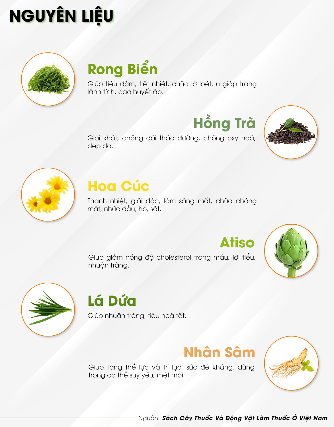 TRÀ RONG BIỂN  -  Trà Hùng Phát
