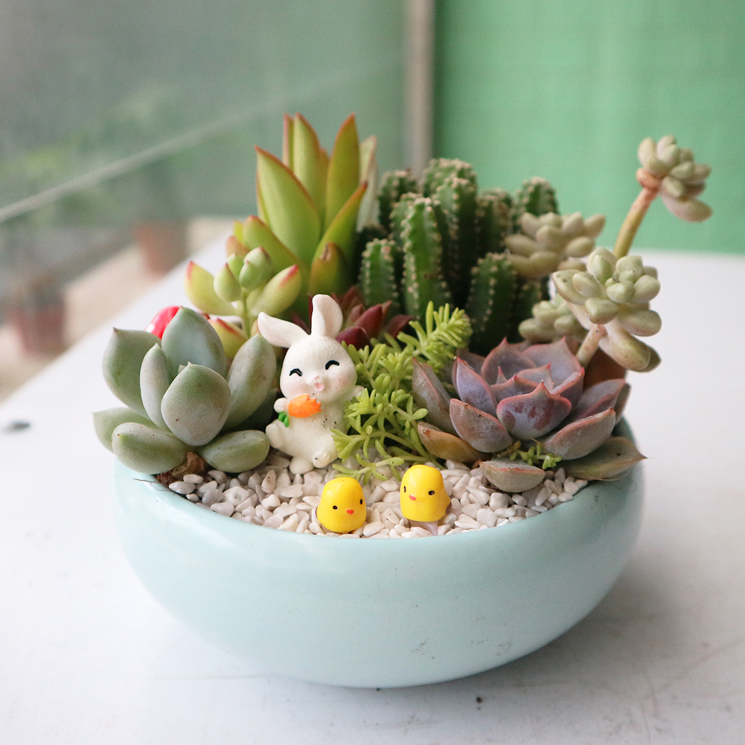 Mô hình gà con mini | Phụ kiện tiểu cảnh sen đá - Terrarium
