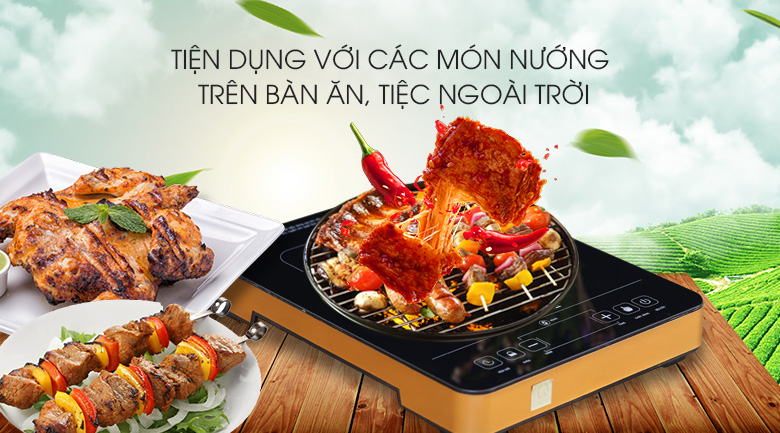 Bếp hồng ngoại Sunhouse SHD 6015