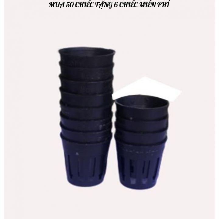 Chậu trồng lan cấy mô MUA 50 TẶNG 6 MIỄN PHÍ [Hỗ trợ vc]