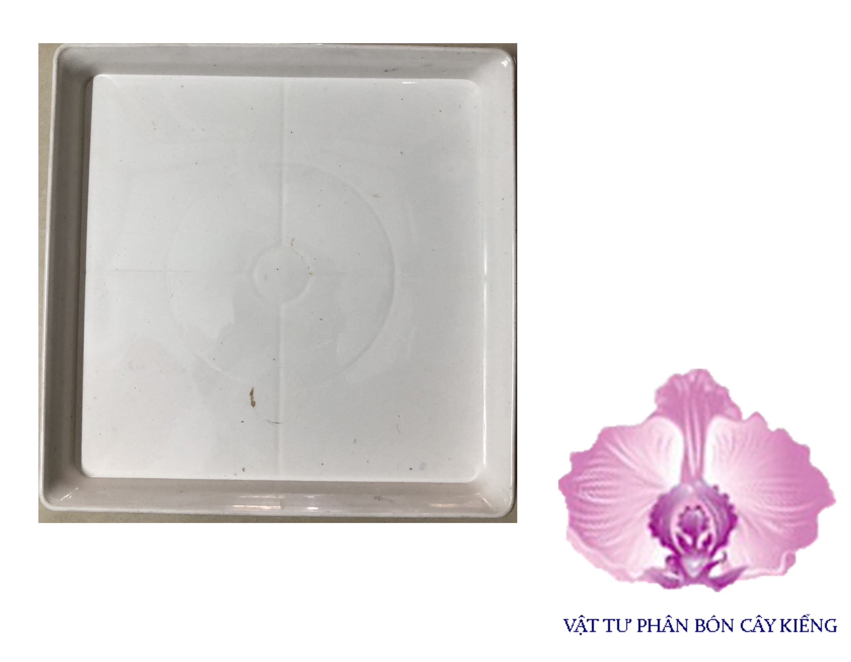 Đĩa lót chậu Vuông 24cm - #071D#