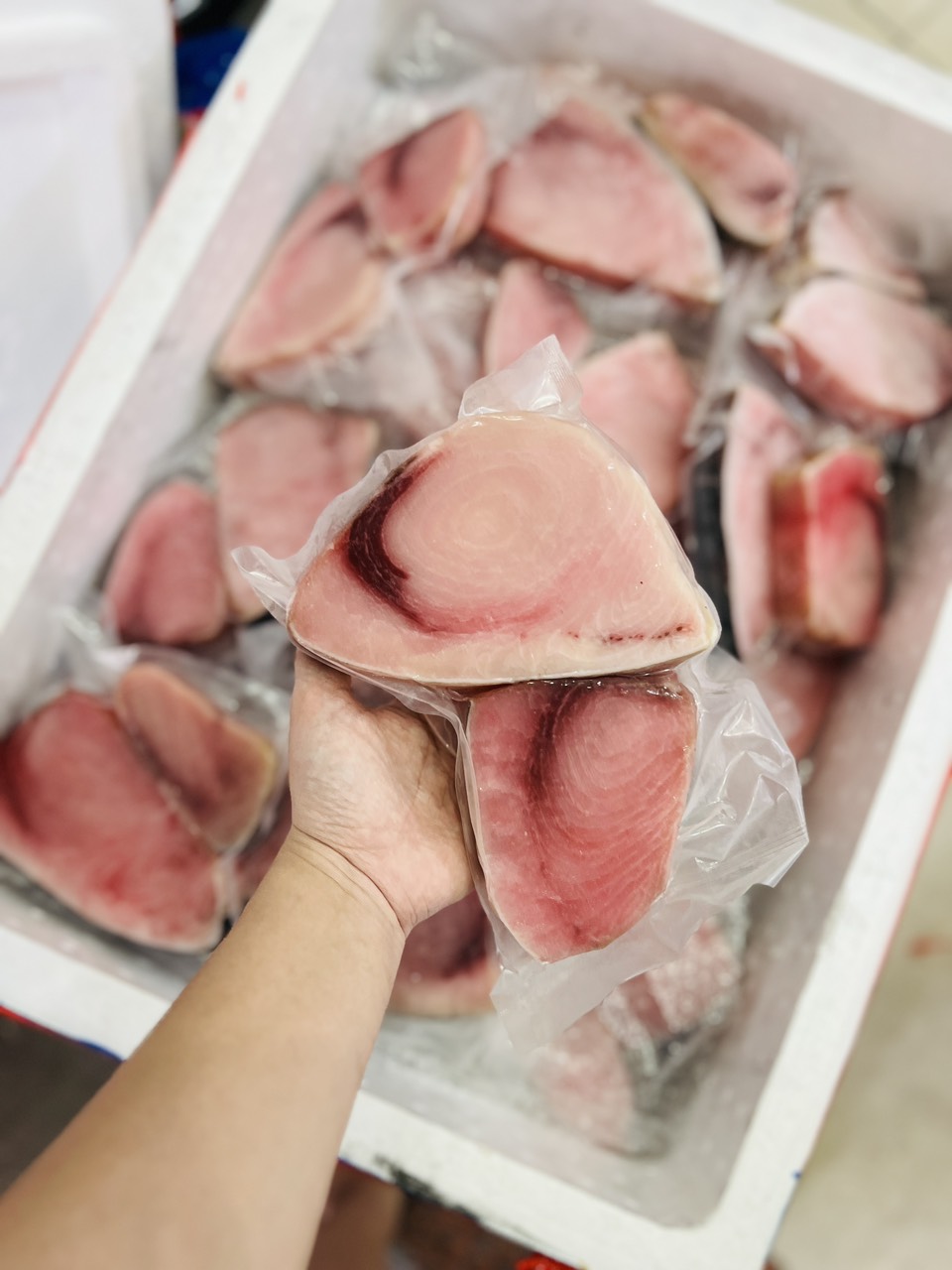 [GIAO NHANH 2H HCM] Cá Cờ Kiếm Phi-le