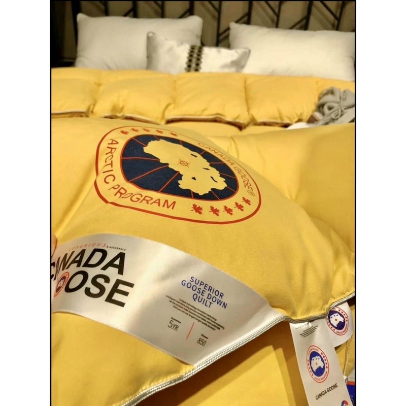 chăn bông lông vũ canada goose 2mx2m3 nhập khẩu