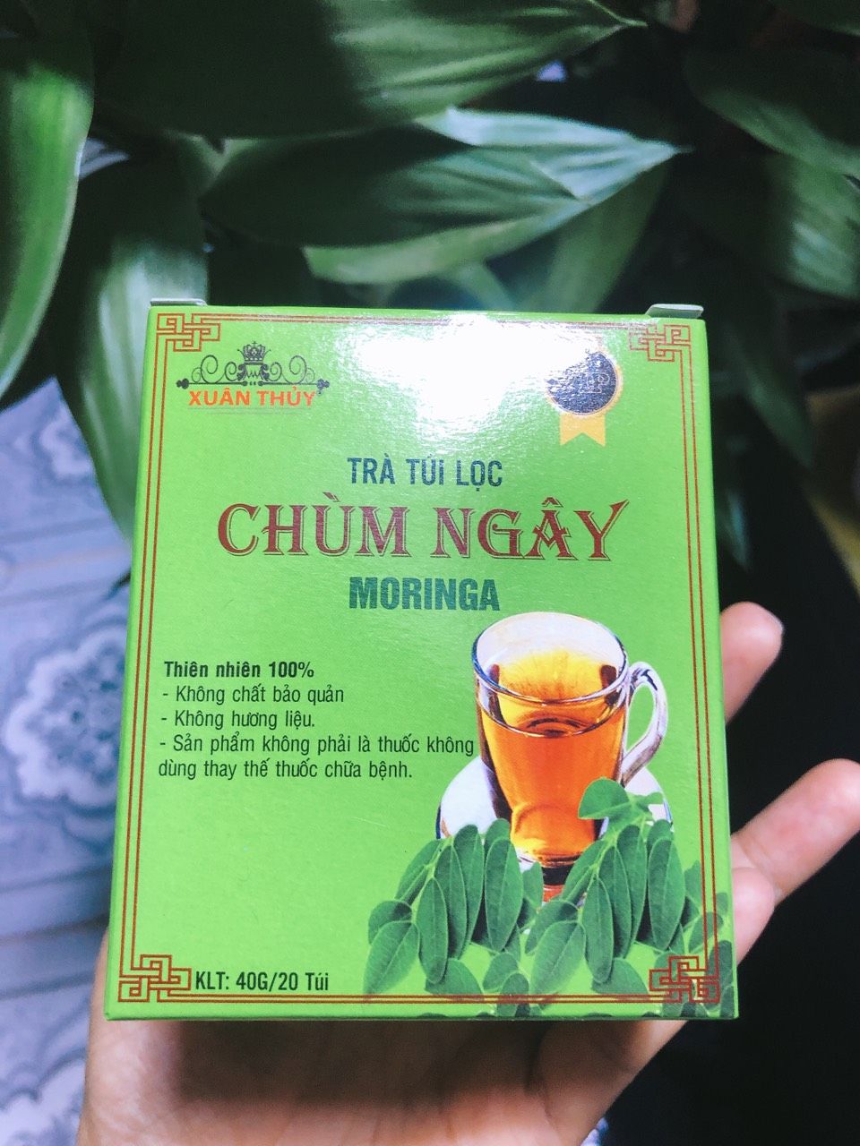 Trà túi lọc chùm ngây moringa ( 1 hộp 20 túi )