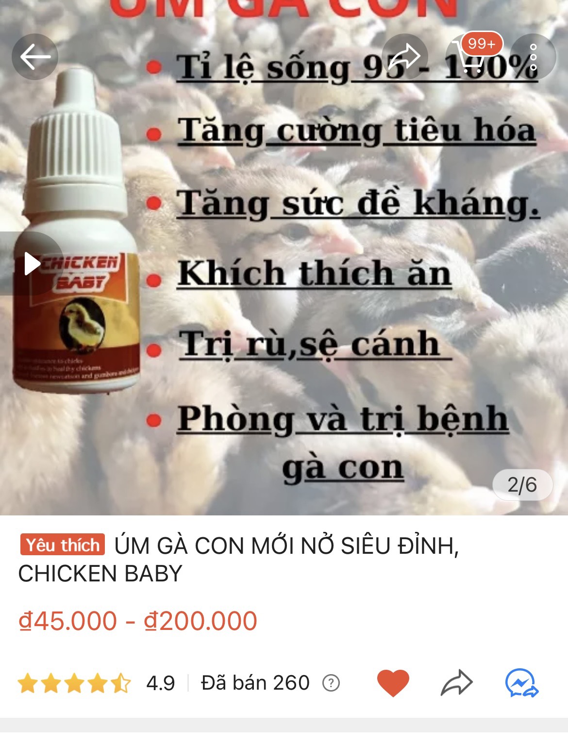 ÚM GÀ CON MỚI NỞ SIÊU ĐỈNH, CHICKEN BABY
