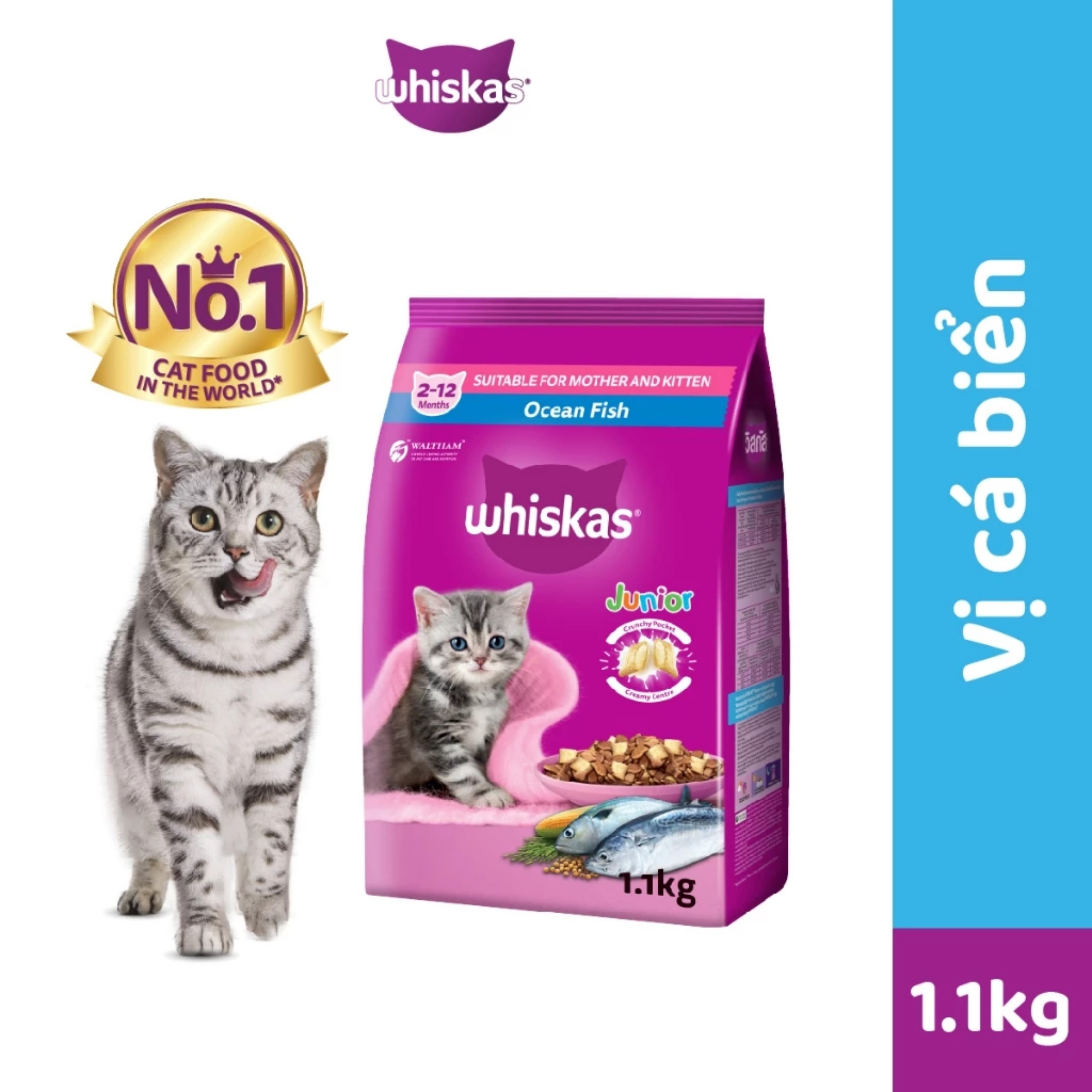 Hạt thức ăn khô cho mèo WHISKAS từ 2 tháng tuổi