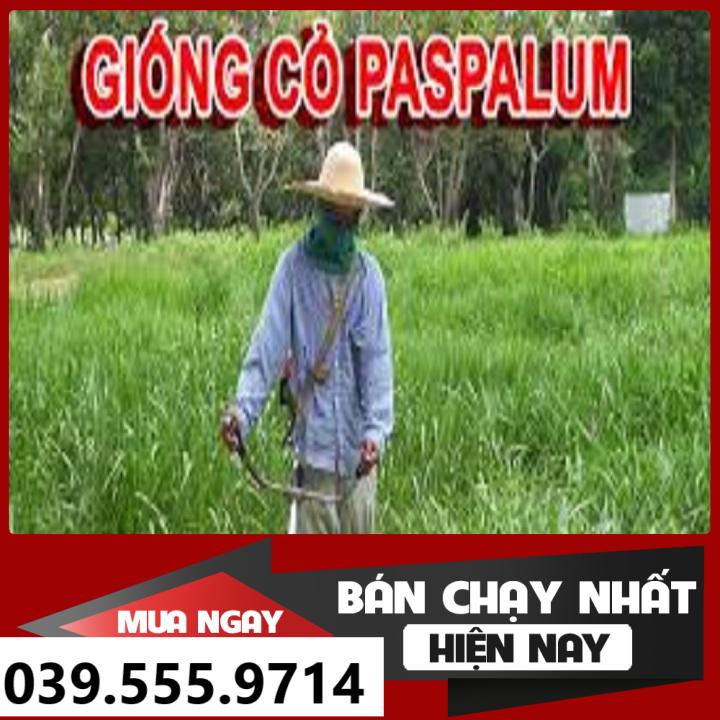 Hạt Cỏ Chăn Nuôi Chịu Ngập Upon Paspalum 200gam