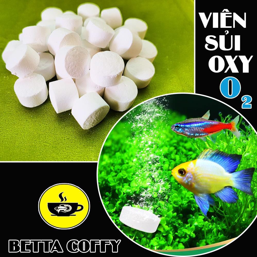 Oxy Viên Sủi Đậm Đặc - Cung Cấp O2 cho Cá 🐟