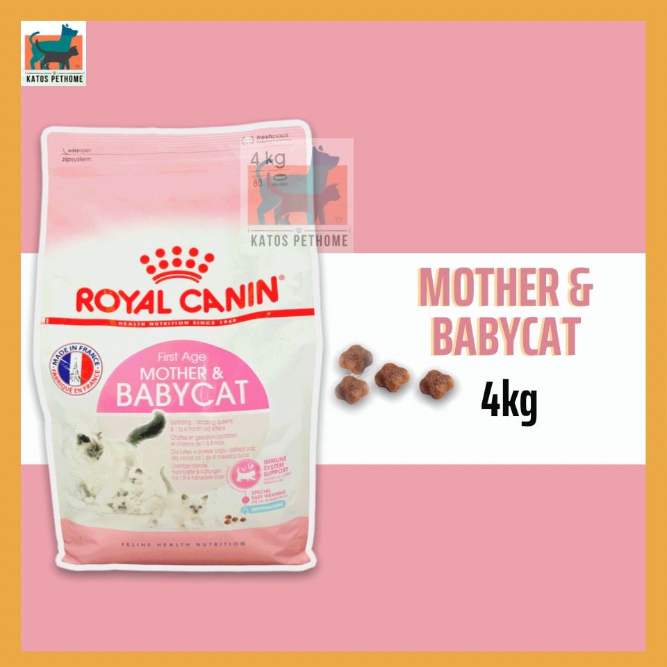 Royal Canin Mother and Baby Cat túi 4kg túi nguyên