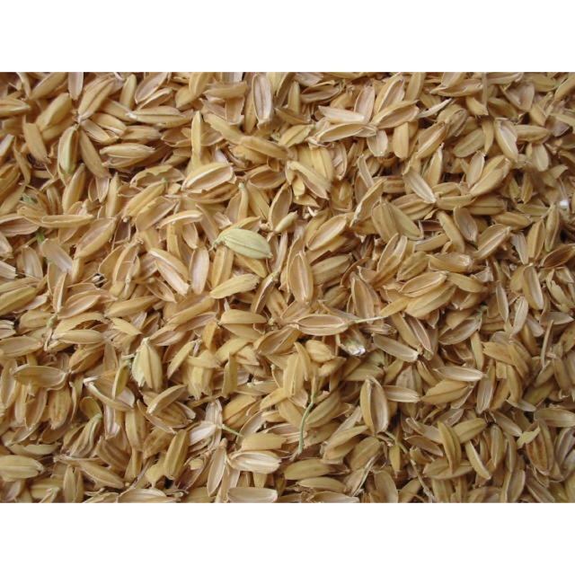 1Kg Vỏ trấu khô trồng cây