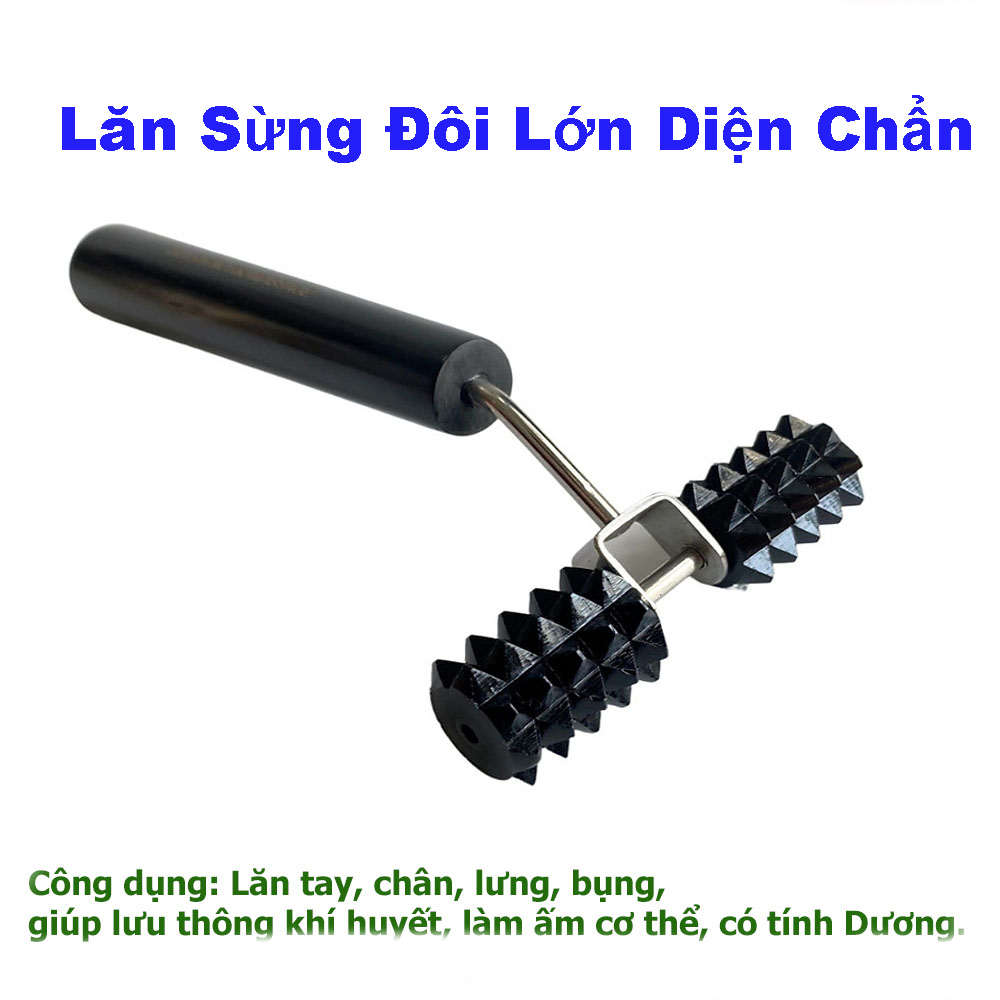 Lăn Sừng Đôi Lớn - Dụng Cụ Diện Chẩn