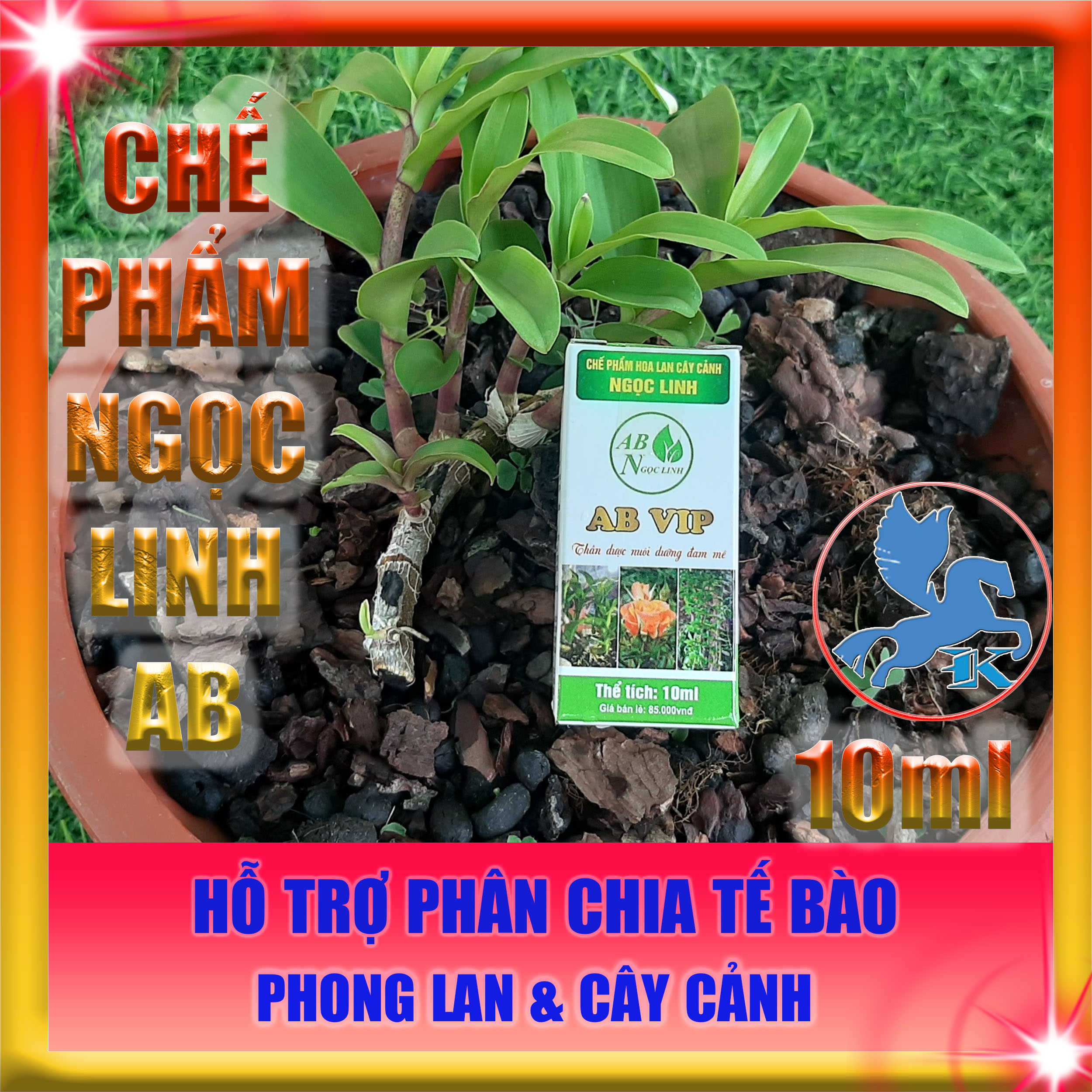 Chế Phẩm Ngọc Linh AB 10ml | Hỗ trợ phân bào cho Phong Lan