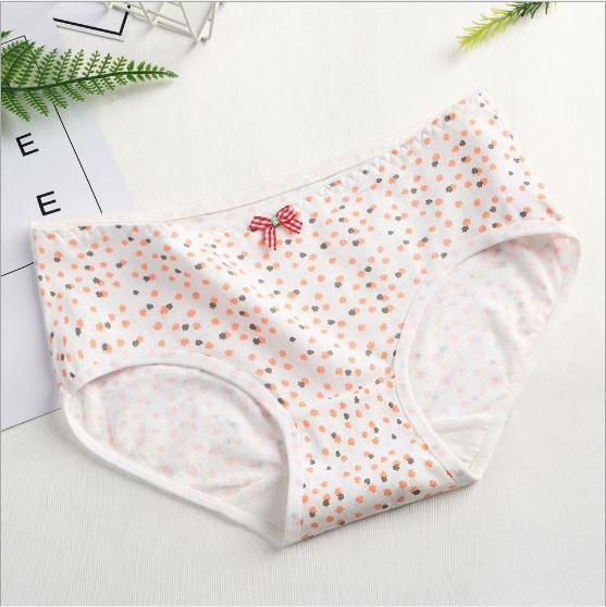 SET 5 QUẦN LÓT NỮ THUN CONTTON CA0 CẤP