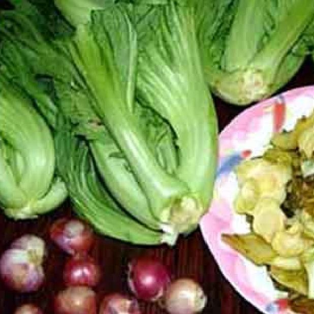 Hạt giống rau Cải bẹ dưa ,cải muối dưa- 20gr/gói-nãy mầm đều