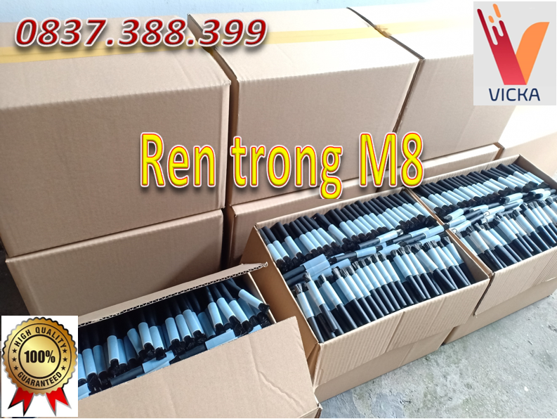 Chổi tẩy mối hàn Inox điện hóa (REN TRONG M8)