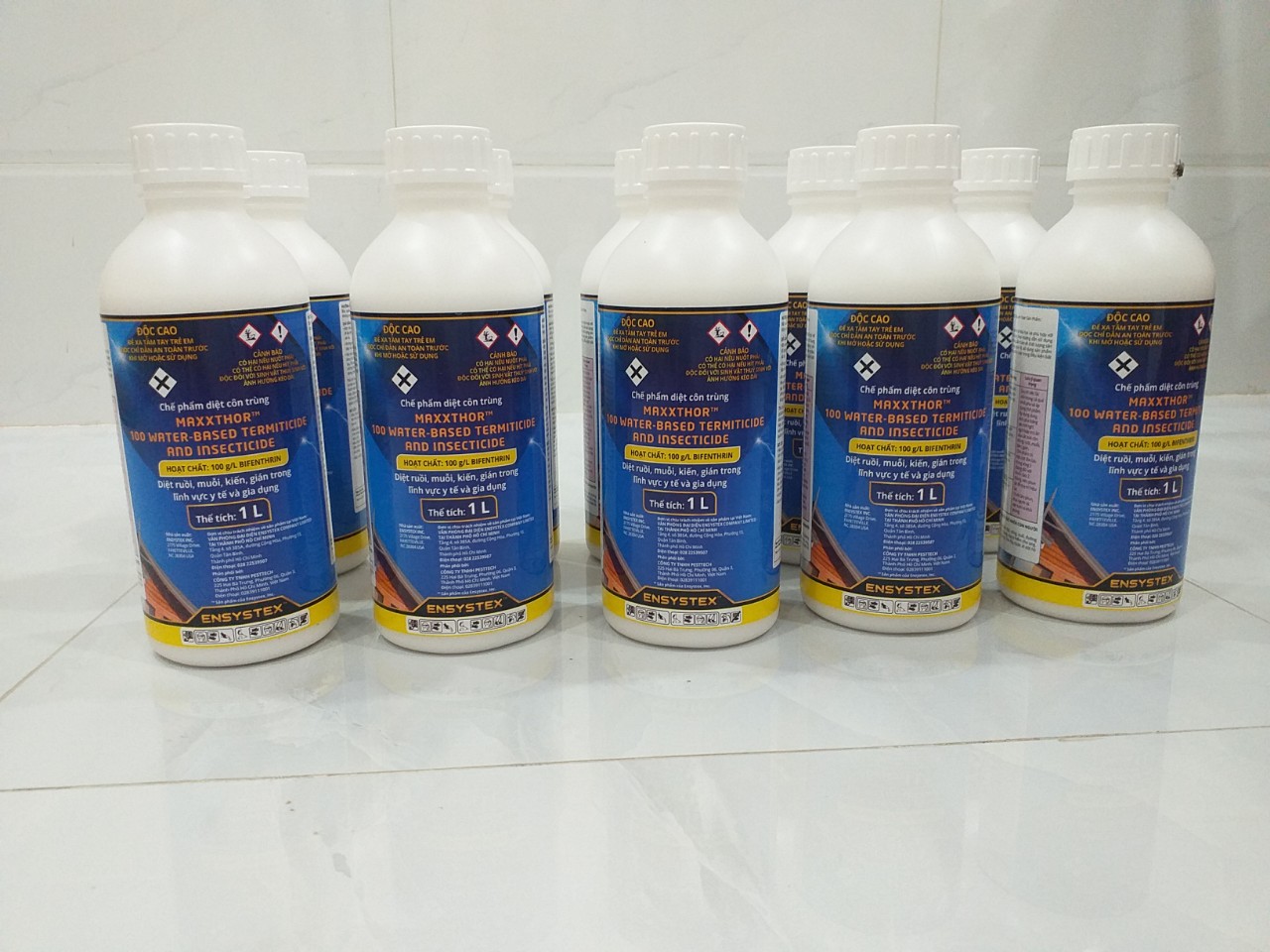 Thuốc diệt muỗi Maxxthor