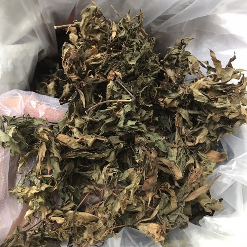 [500g] Lá Đinh Lăng khô (lá đinh năng nếp lá nhỏ) - Cực thơm ngon