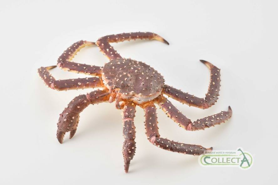 [CHÍNH HÃNG COLLECTA] MÔ HÌNH ĐỘNG VẬT - CUA HOÀNG ĐẾ