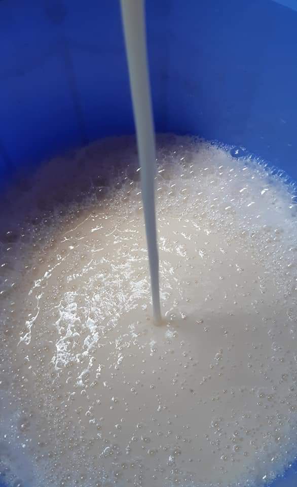 Sinh tố MÃNG CẦU xiêm 700ml ENNY Đà Lạt