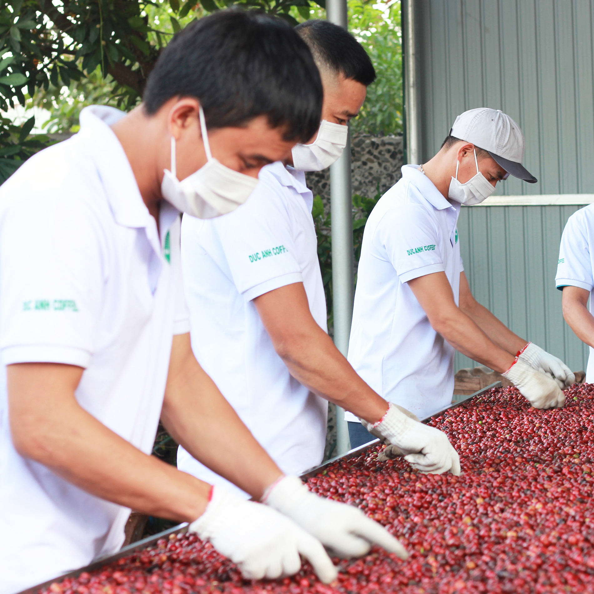 1kg cà phê bột pha máy