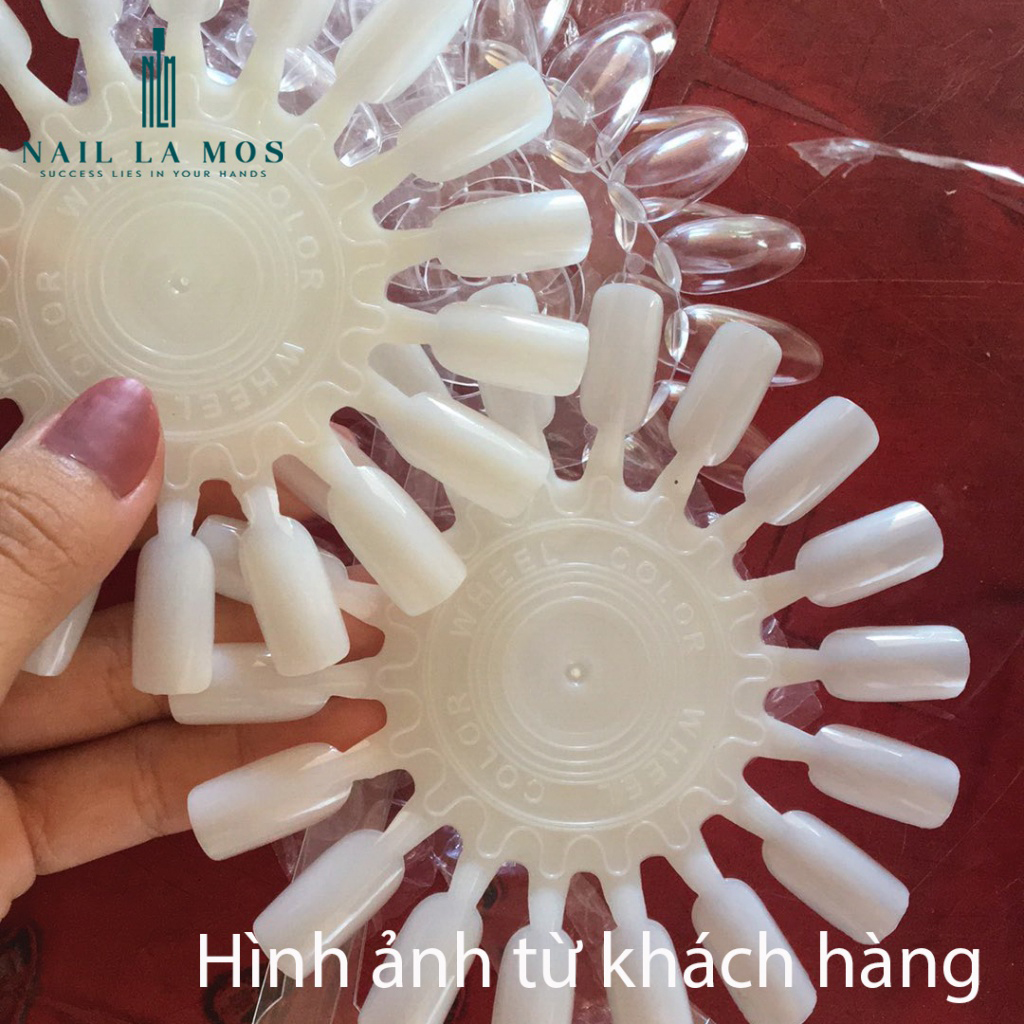 Móng mẫu tập vẽ vỉ tròn răng cưa (1 bịch 10 vỉ 180 móng)