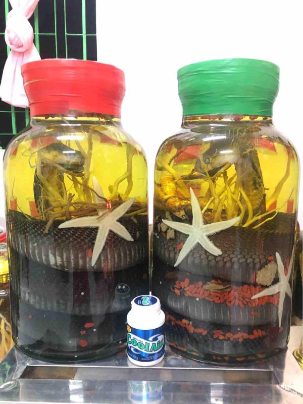 Bình 15lit - Rắn 6kg tốt nhất