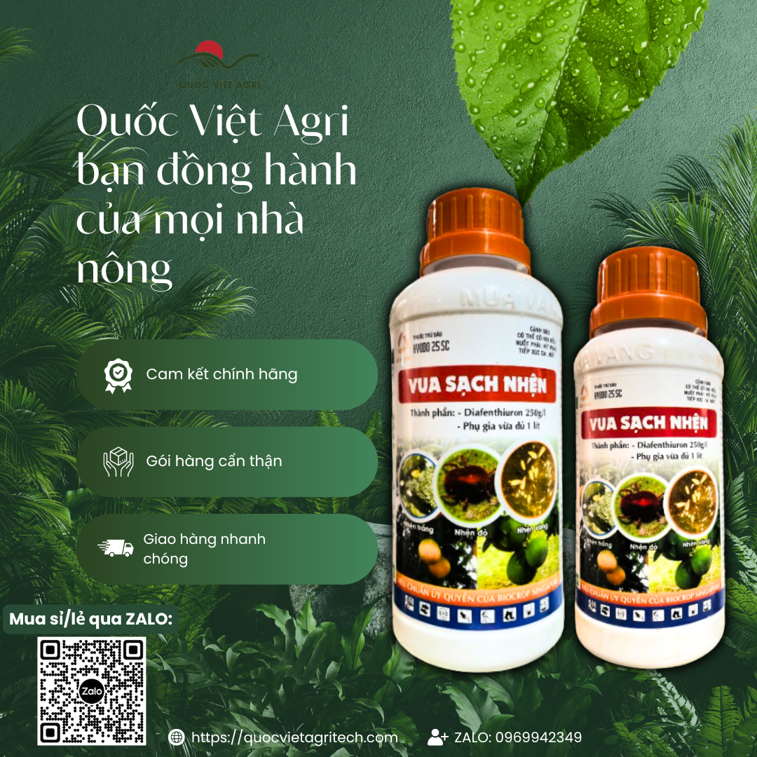 Thuốc trừ sâu nhện KYODO 25SC (240ml - 450ml) - Diafenthiuron 250g/l VUA SẠCH NHỆN