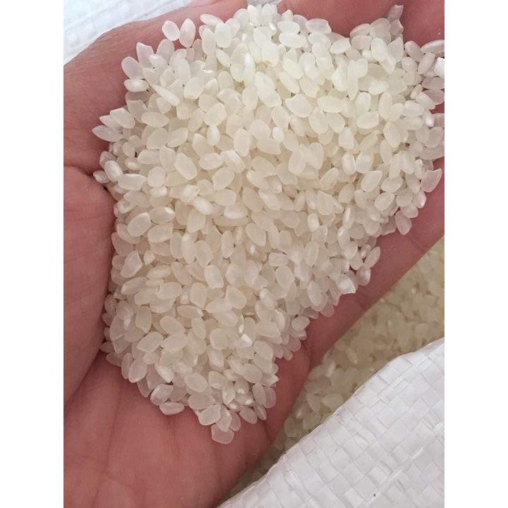 Gạo Séng Cù Hạt Tròn - Túi 5kg - Tôm Vàng