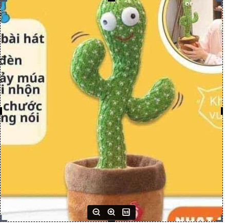 Cây xương rồng nhảy múa