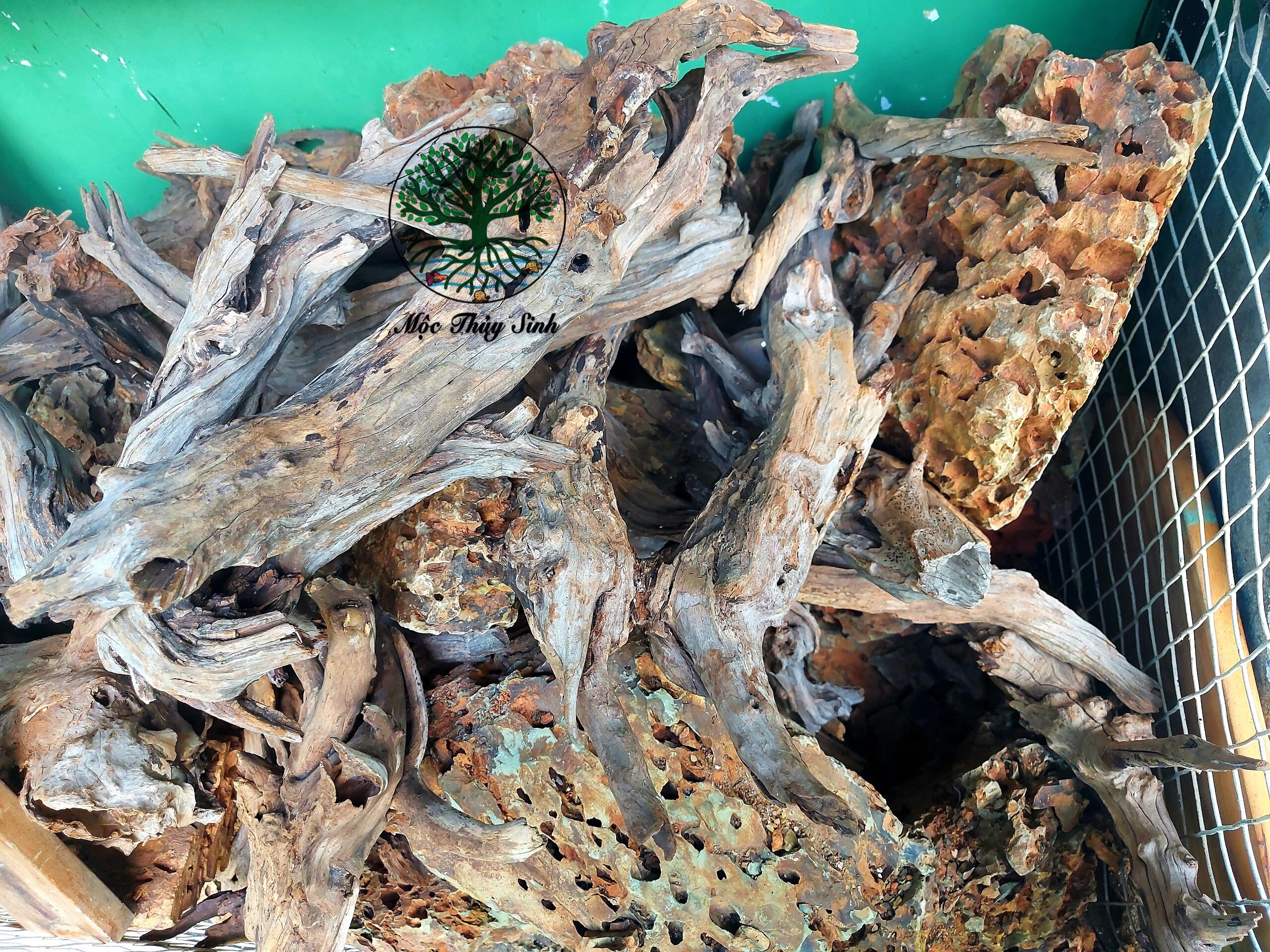 Đá Tiger - Đá Trang Trí Bể Thủy Sinh 1Kg