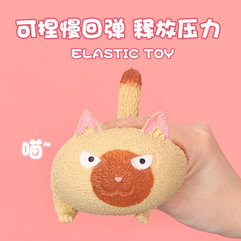 😹Mèo bóp xả stress cute phô mai que