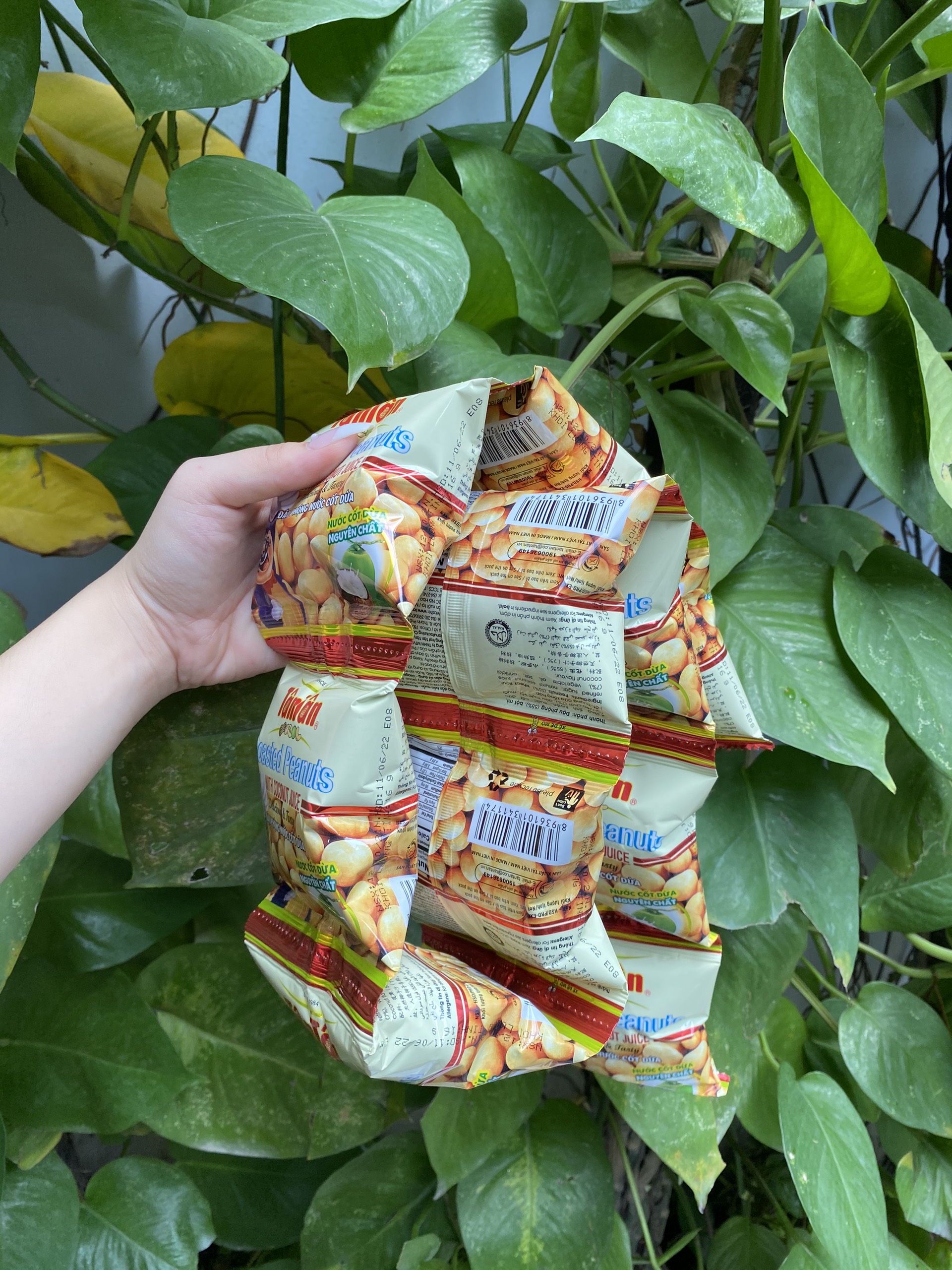 Đậu Phộng Nước Cốt Dừa Tân Tân Peanuts With Coconut (Lốc 10 gói x 15g)