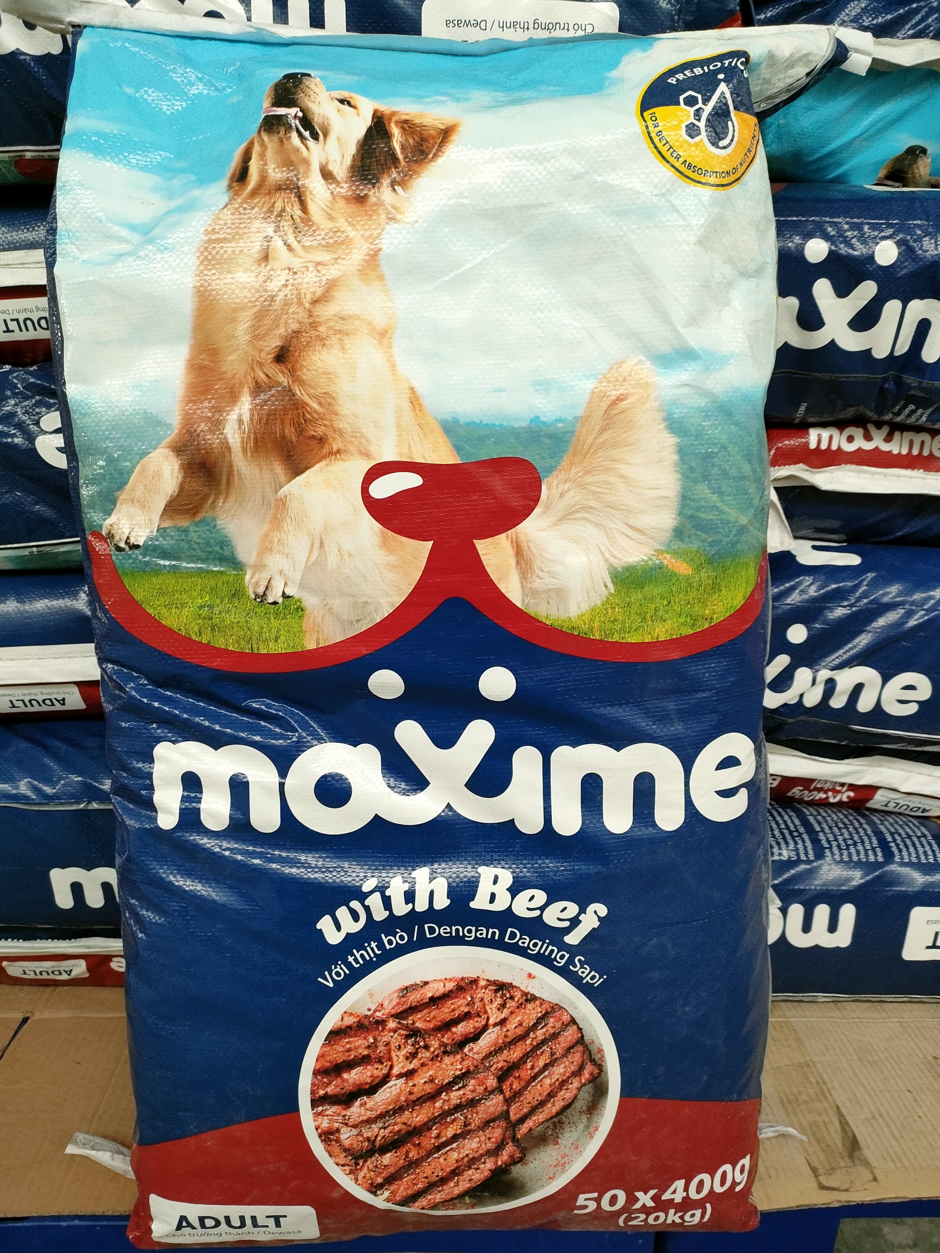 [Freeship Max] Thức ăn chó lớn vị thịt bò MAXIME 400gam  - Yeuthucung