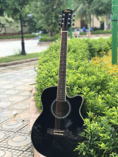 Đàn guitar acoustic Vines