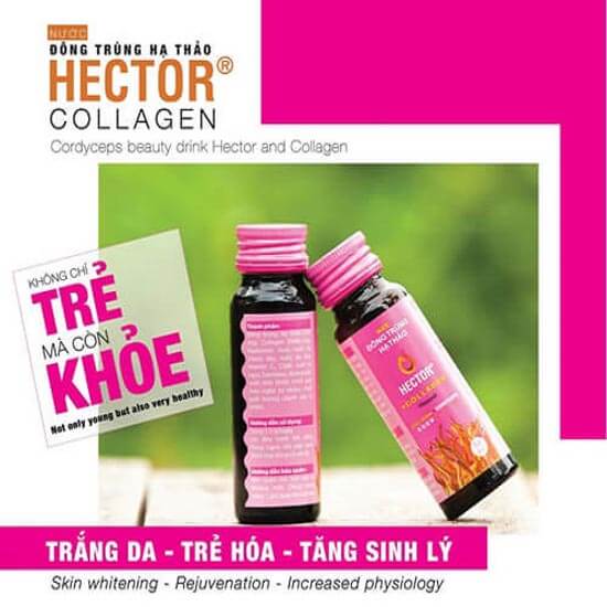 Hector Collagen đông trùng hạ thảo (Hộp 10 lọ x 50ml)