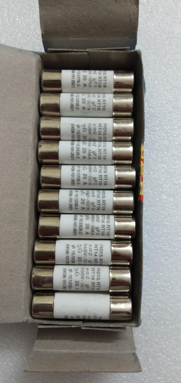 10 Cầu chì sứ 20A 500v