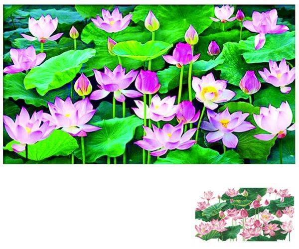 tranh đính đá NGÁT HƯƠNG SEN VS136 kích thước 90cm x 53cm