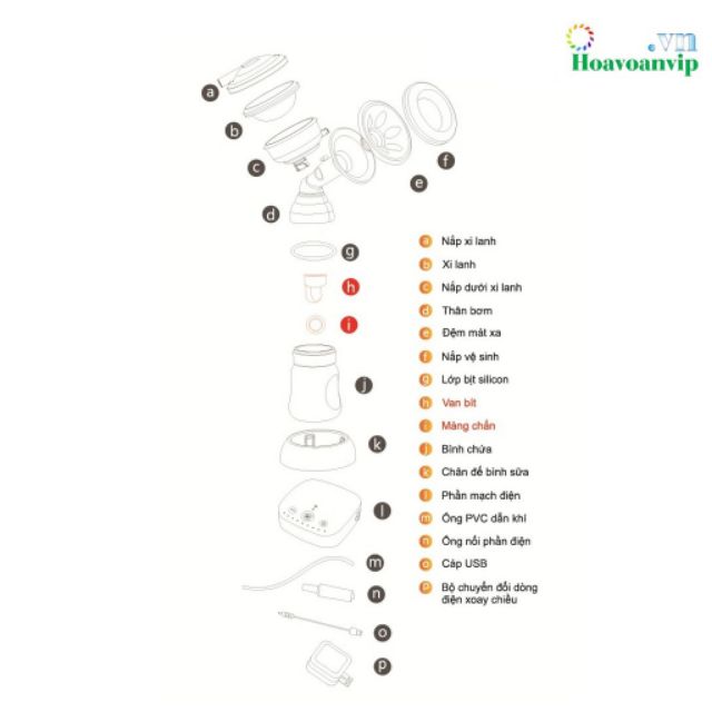 Van 1 Chiều Máy Hút Sữa Điện Sanity