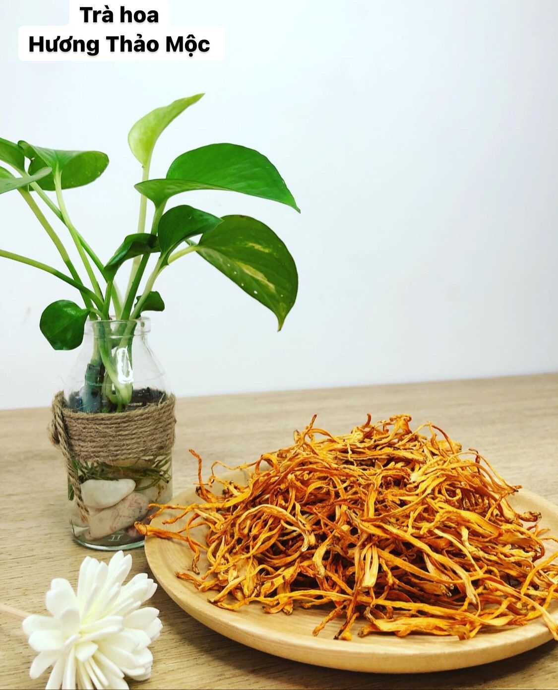 Đông Trùng Hạ Thảo 1kg - Hương Thảo Mộc