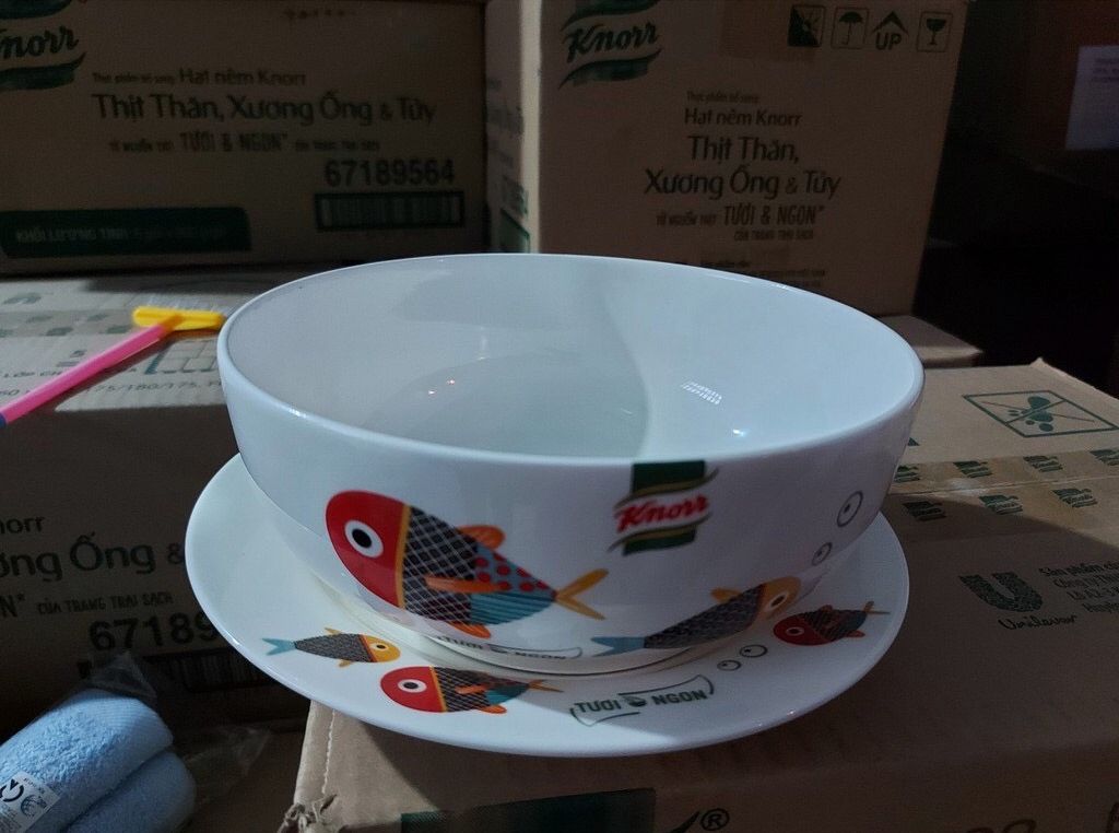 Tô - đĩa sứ hoạ tiết cá 18cm - 20cm