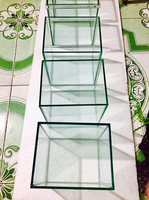 Bể cá betta -Bể nuôi cá chọi