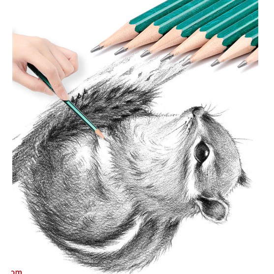 Combo 5 Bộ Bút Chì Gỗ 2B Chất Đẹp