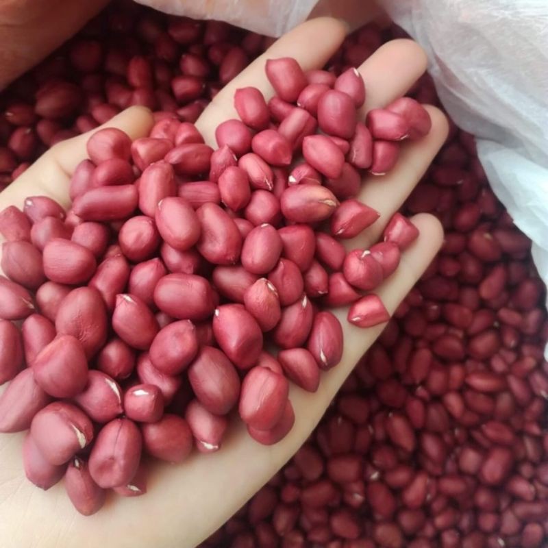 500G Lạc đỏ (đậu phộng)