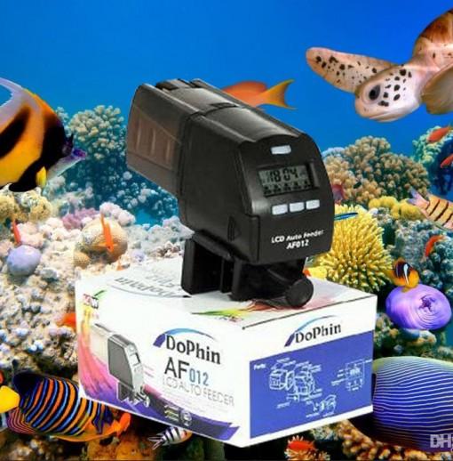 Máy cho cá ăn tự động Dophin AF 012